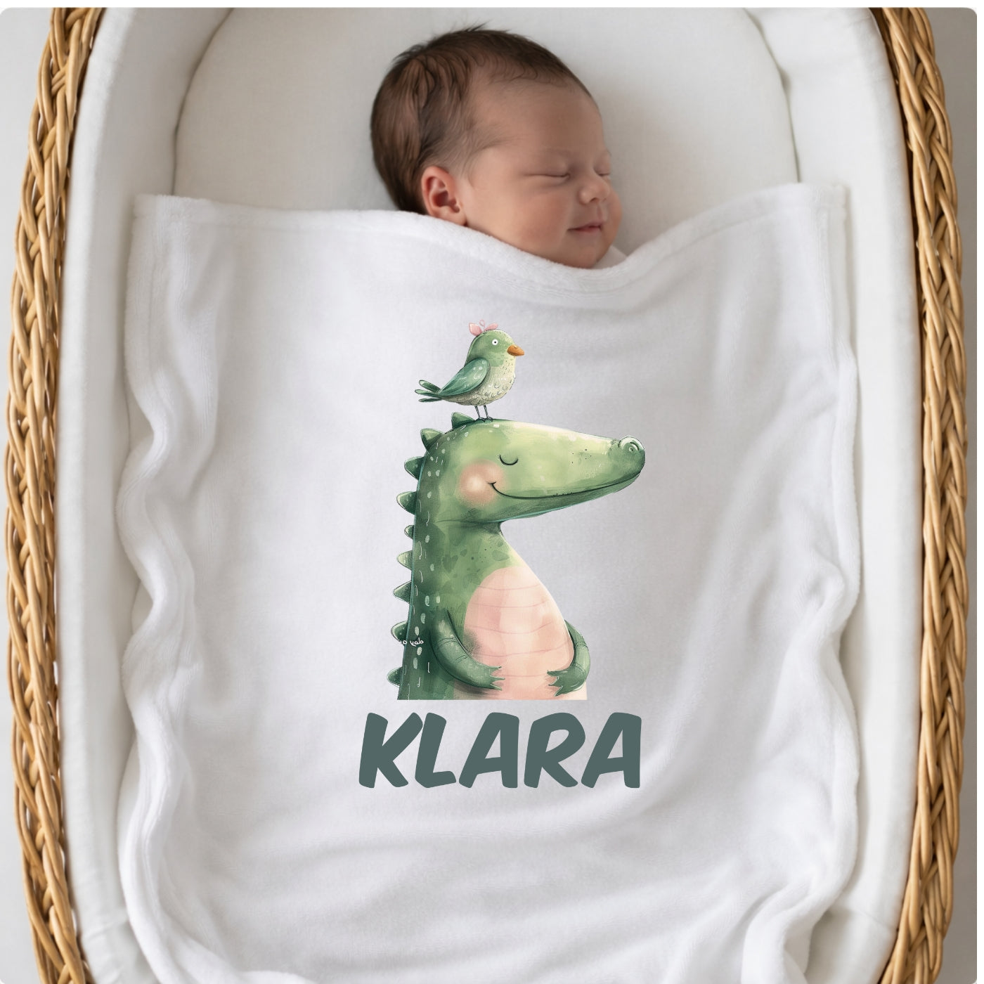 Personalisierte Babydecke mit Namen Tiere bunt Kuscheldecke