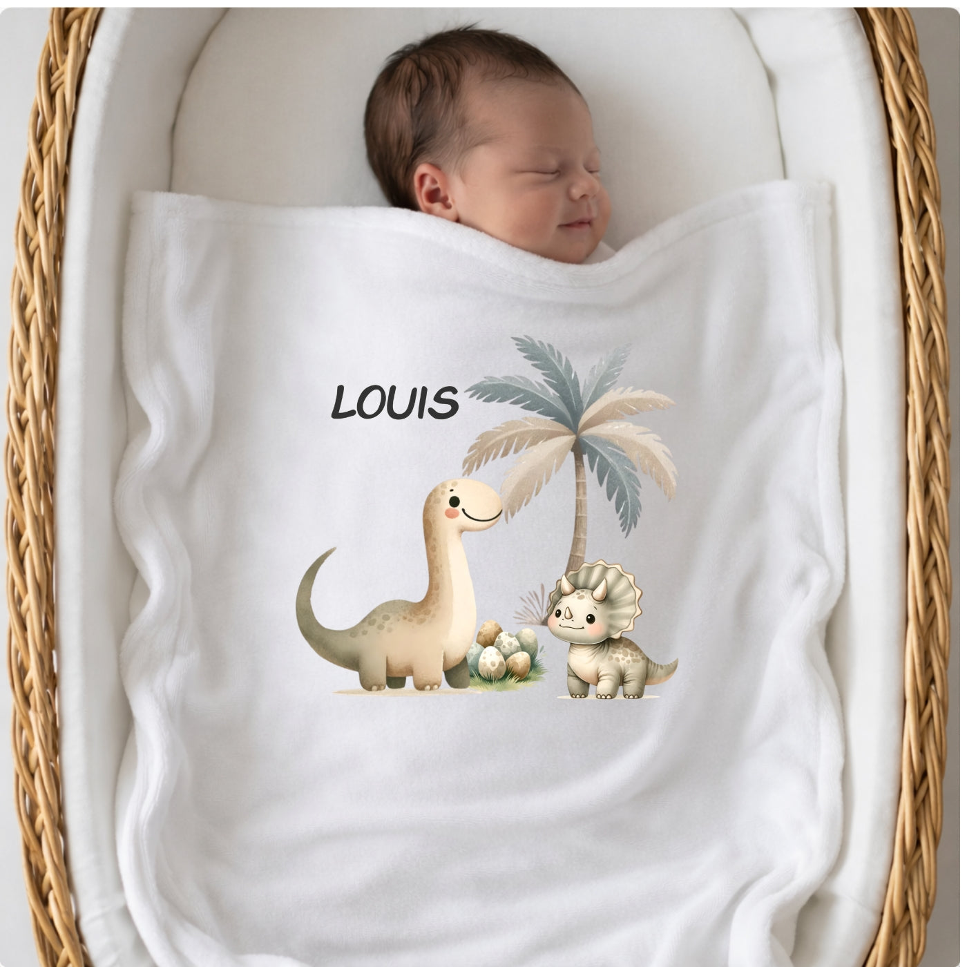 Personalisierte Babydecke mit Namen Dino Kuscheldecke